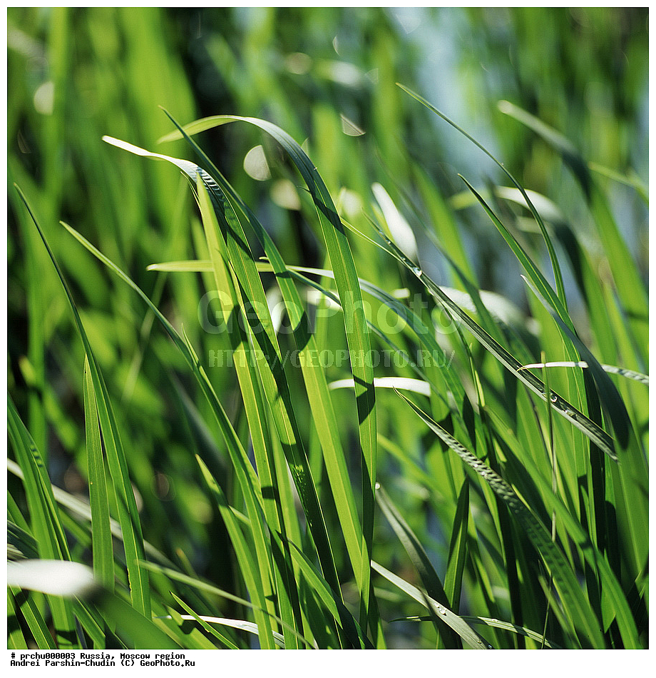 ���-������, ������, ������� ����, ��������, ����, ��������, ������, ������, ����, �������, �������, ���������, �������������