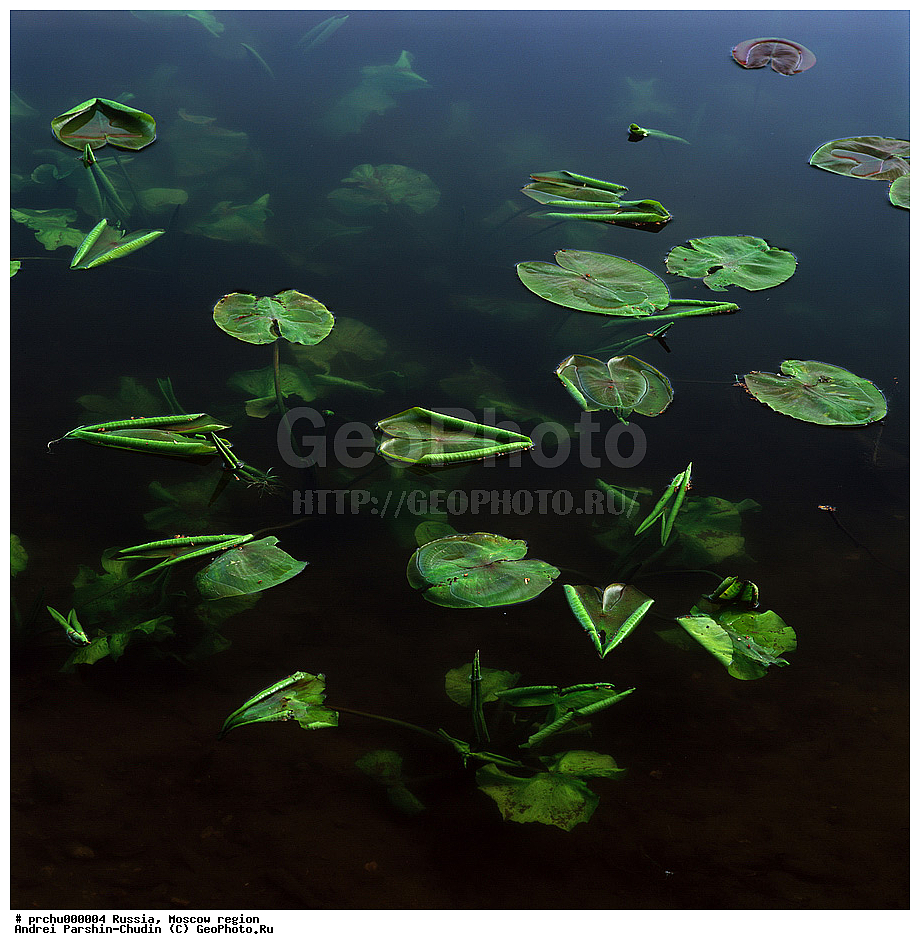 ���-������, ������, ������� ����, ��������, ����, ��������, ������, ������, ����, �������, �������, ���������, �������������