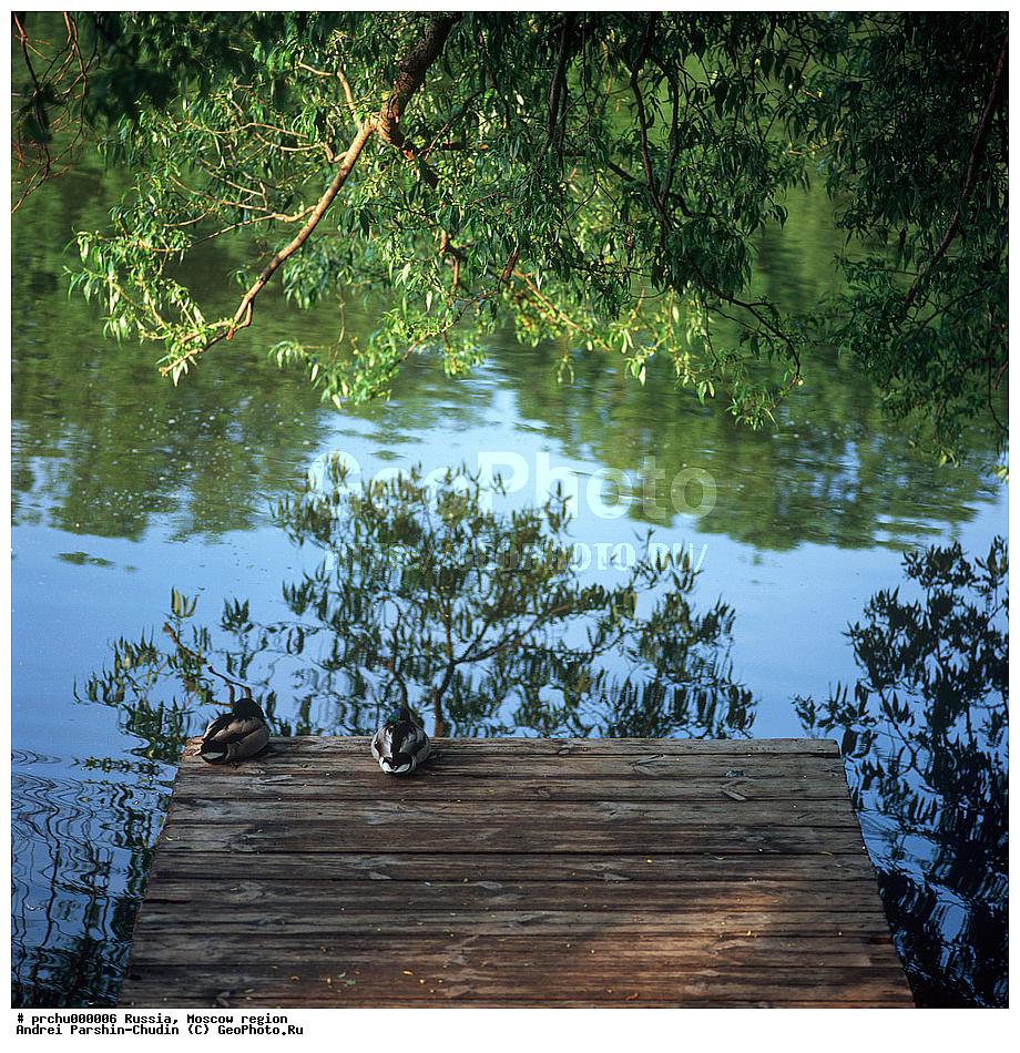 ���-������, ������, ������� ����, ��������, ����, ��������, ������, ������, ����, �������, �������, ���������, �������������