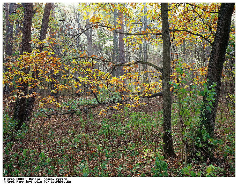 ���-������, ������, ������� ����, ��������, ��������, ������, �������, �����, �������, �������, ��������, ���������, �������������