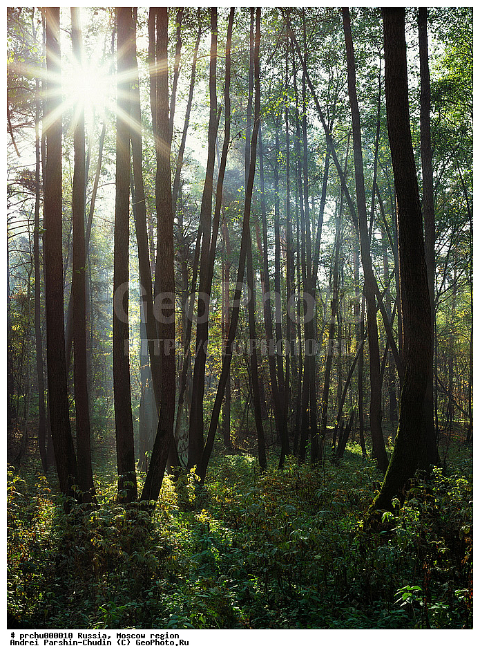 ���-������, ������, ������� ����, ��������, ��������, ������, �������, �������, ���������, �������������