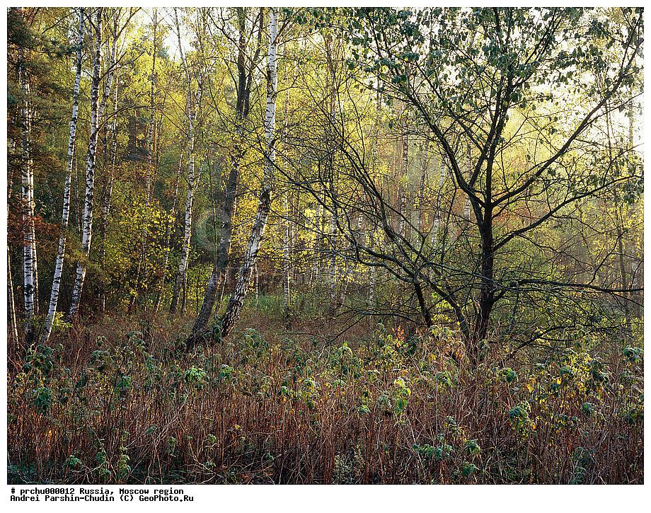 ���-������, ������, ������� ����, ��������, ��������, ������, �������, �����, �������, �������, ��������, ���������, �������������