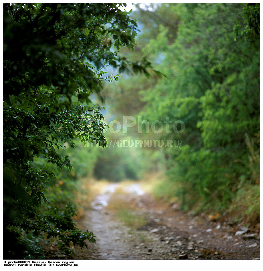 ���-������, ������, ������� ����, ��������, ����, ��������, ������, ������, ����, �������, �������, ���������, �������������