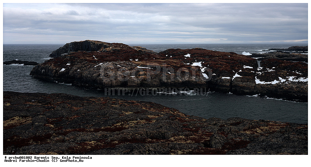 ��������� ����, ����, ������� �������, ������� �������, �������� ����������, ������, ���-������, ��������, �����, ��������, �������, �������, �����, �����, ��������, ���������