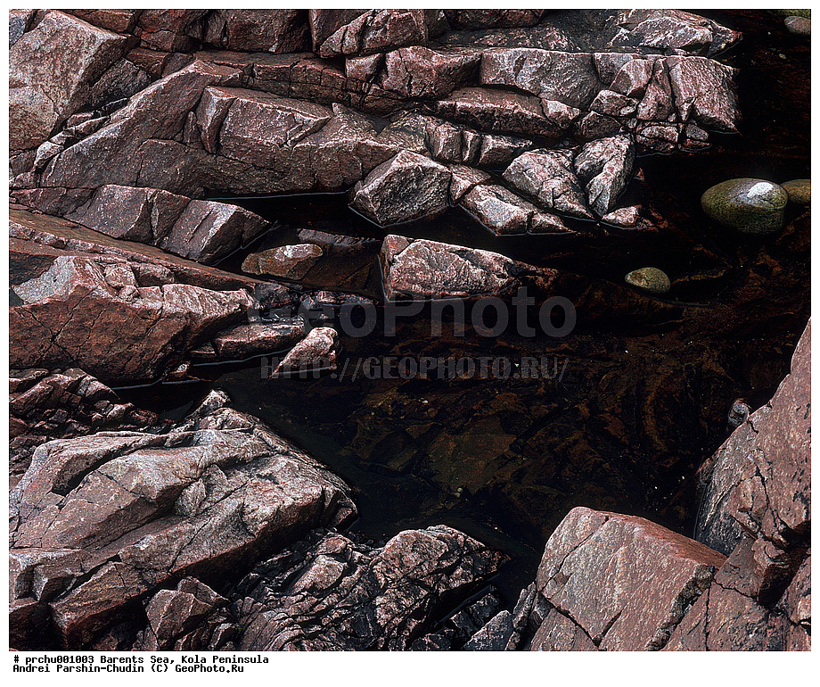 ��������� ����, ����, ������� �������, ������� �������, �������� ����������, ������, ���-������, ��������, �����, ��������, �������, �������, �����, �����, ��������, ���������