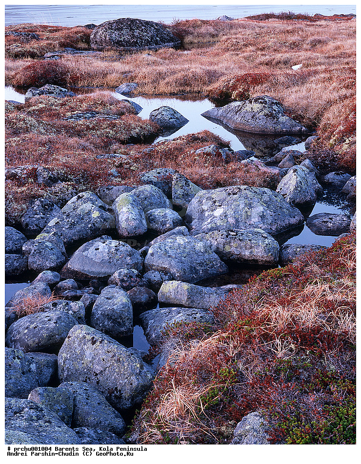 ��������� ����, ����, ������� �������, ������� �������, �������� ����������, ������, ���-������, ��������, �����, ��������, �������, �������, �����, �����, ��������, ���������