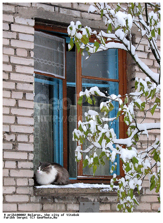 ����������, �������, �����