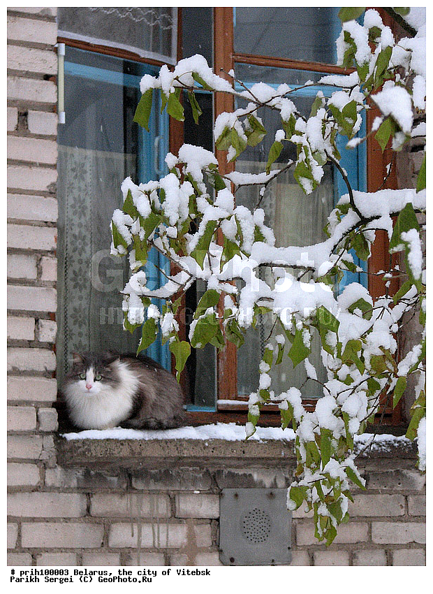 ����������, �������, �����