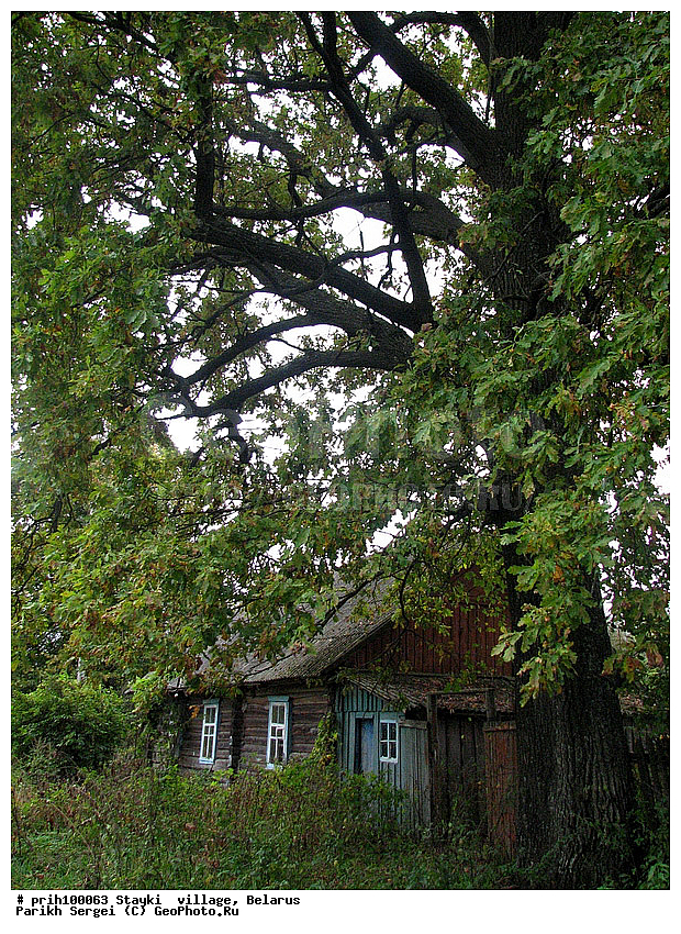 ����������, ������, ����