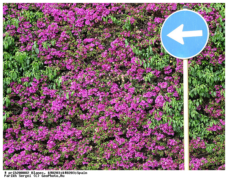 ������, �������, ������������ �������, �������� ����, ������, ����, ����������� ������, �������, ��������, �����, �������, �����