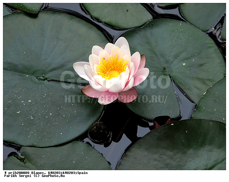 ������, �������, ��� � ������, ������������ �������, ������������ ���, ��������, ��������, ������, ����, �������, ����, ������, �����