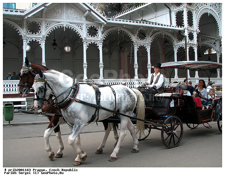 ������, ������� ����, �����, ������������, ��������, ������, ������, ������, ����, ����, �����, ������, ������, �������