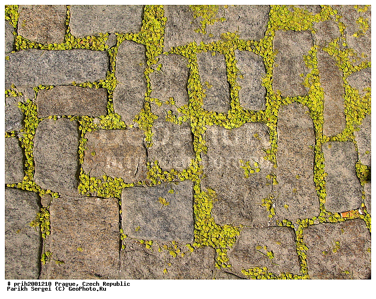 ������, �������, �����, ������������, ������, �����, ����������� ������, ��������, ������