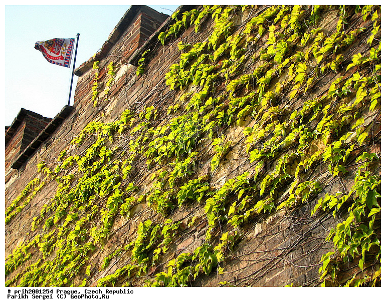 ������, �����, �����, ������������, �����������, �����, ������������ ����������, ����, �����, ���, ����, �����, �����, ������, ��������� �����, ����������, ��������, ����������� ������, �����, �����, ������, ������������, �����, �������, ����