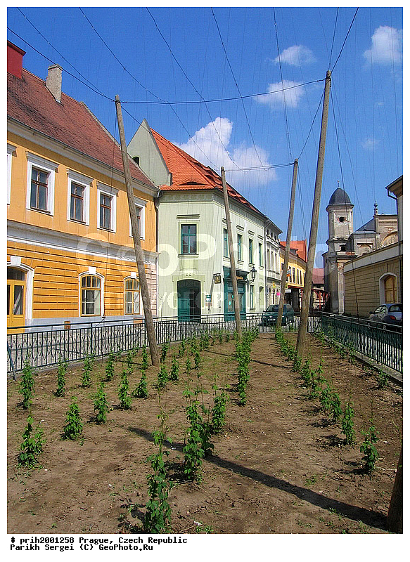 ������, �����, �����, ������������, �����, �����, ������, ���, ����, �����, ������������ �������, ����, ����, �������, ��������, ��������������, �������, �����, �����, ������, �������, �����