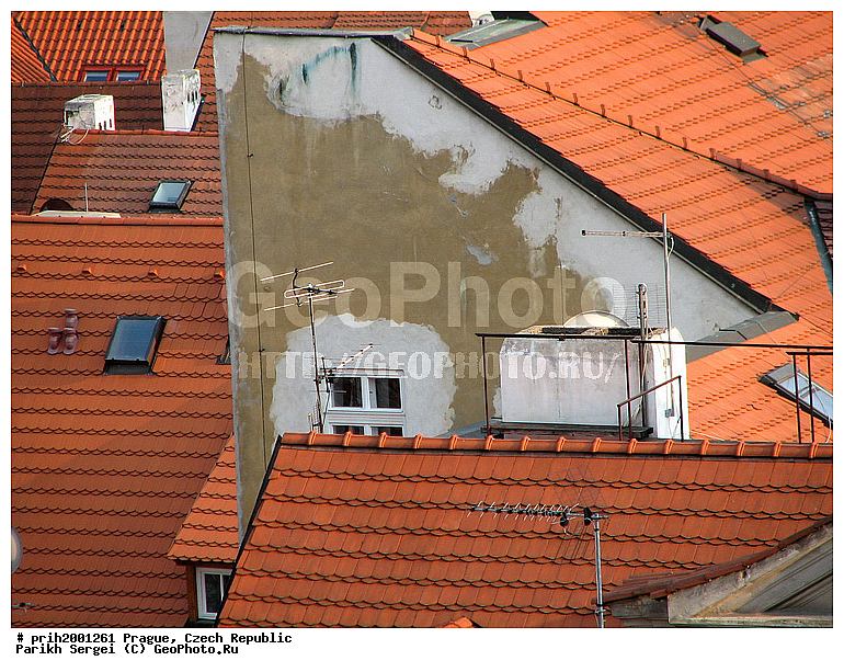 ������, �����, �����, ������������, �������, �������, �����, ���, ����, ������, ������, ������, �����, �����, ����, ����, �������, �����, �����, �������, ��������