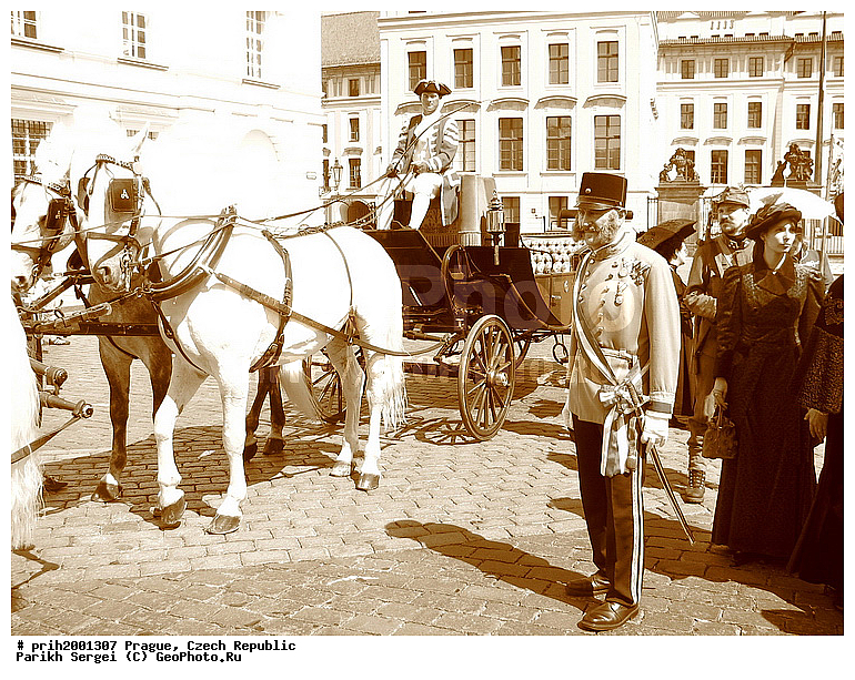 ������, �����, �����, ������������, �����, ����, ���, �������, �����, ������, ��������, ������, ����, ������, ������, �������, ������, ��������, �������, �������, ����, ������, �������, �����, �����, �������, �������, �����, �������, ��������, ��������, �������������, �������������, �����, �����, XYZ, ���������, Equidae, �������� ������, Equus ferus caballus