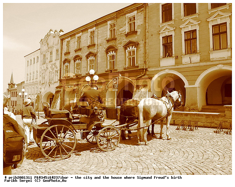 ������, ������� �����, �������, ������, �����, ������������, ���, ����, ��������, ������, ������, ��������, ����, ����, �������, ������, �������, �����, ������, ��������, ��������, �������������, �������������, �����, �����, XYZ, ���������, Equidae, �������� ������, Equus ferus caballus