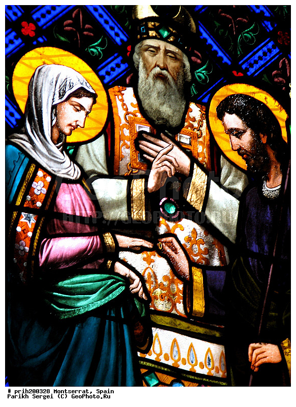 �������, ���������, ���������, ����������, ����, ������, �������, ���������, ��������� ���������, �������, �������, ������, ������, �����, ������� ������