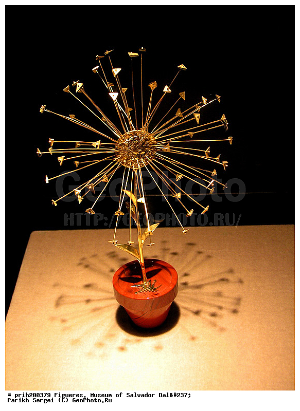 �����, ��������� ����, �������, ������, ���������, ������, ������, ����������, �����-�����, ������, ��������, ��������� �������