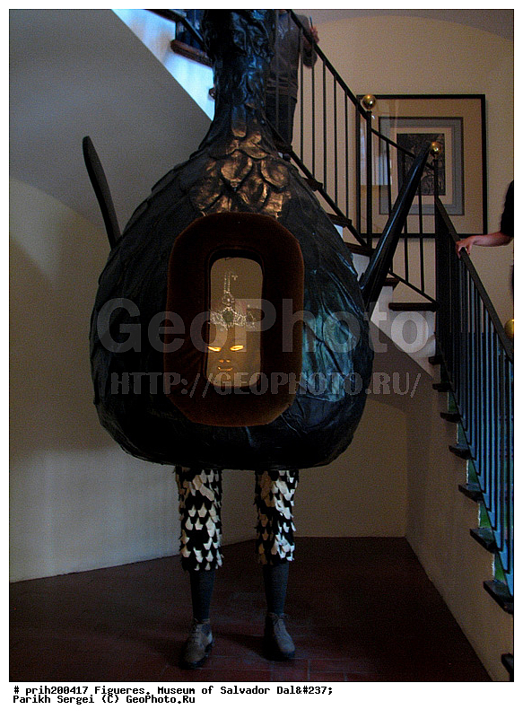 �����, ��������� ����, �������, �����������, ���������, ����������, ��������, ����������, �����, ����������, ����������, �����-�����, ��������