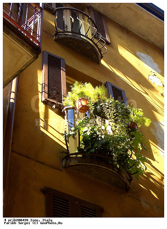 ����, ������, ������, �������, �����, ���, ������, �����, ����, ����, ������, �����, �����