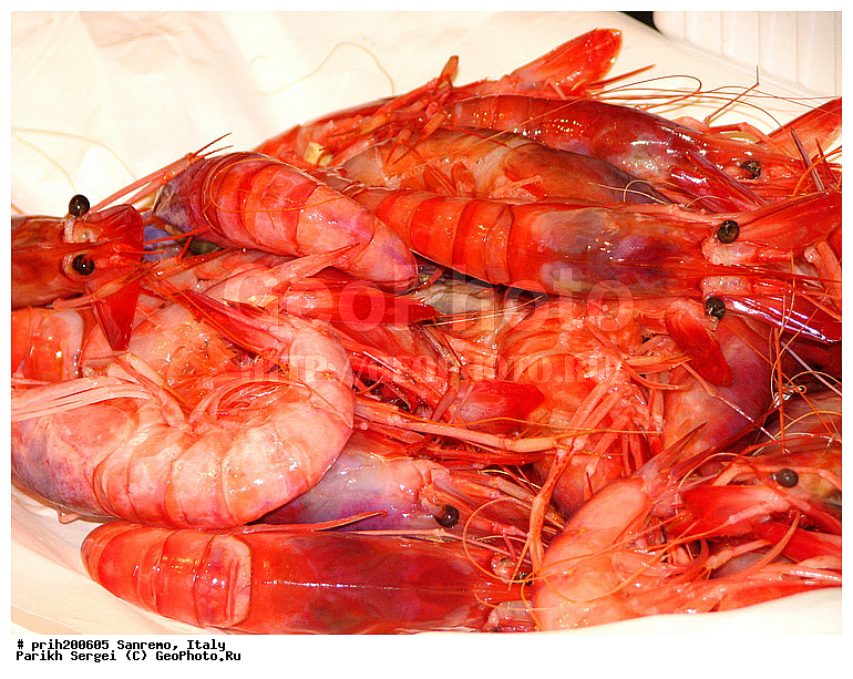 ������, �������, ���, ��������, ���������, ������������, �����