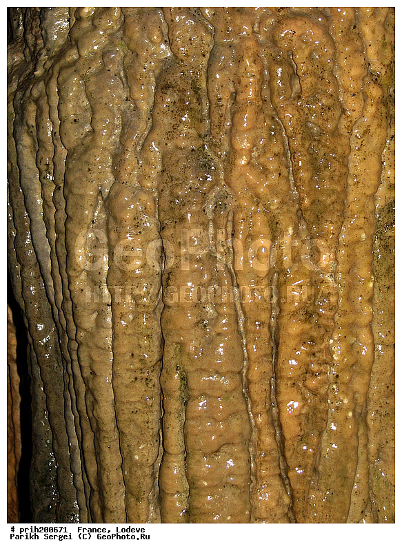 ���� �������, ���� ������, ���� �� ������, ������, �������, ������, ��������� ������, ������, ������, ����������, ������, ������������� �����