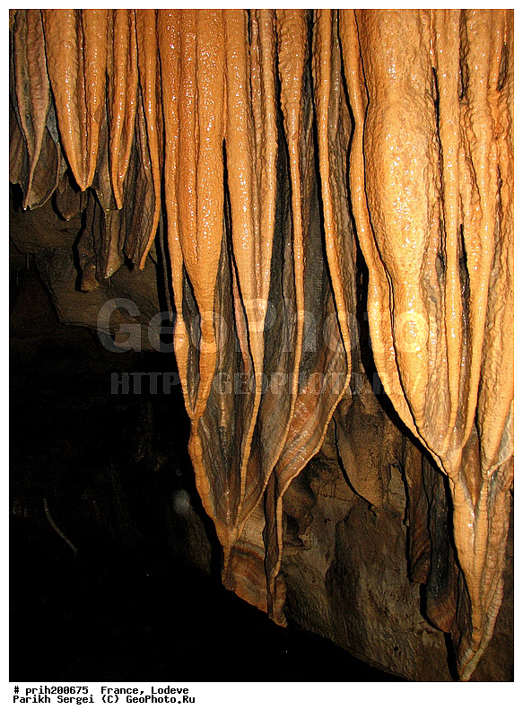 ���� �������, ���� ������, ���� �� ������, ������, �������, �����, ������, ��������� ������, ������, ������, ����������, ������, ������������� �����