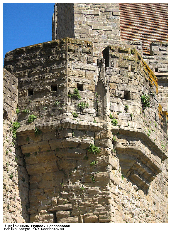 ������, ��������, ���������, �������, �����������, �����, �����, �������������, �����