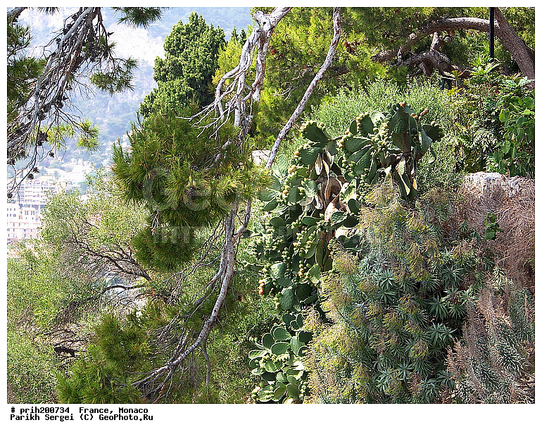 ������, ��������� ������, �����, �����, �����, ���, ����, ����, ������, �������, ������, ������, �������, ��������, ��������������, �����, ������, �����, ������, ������������� �����, ����