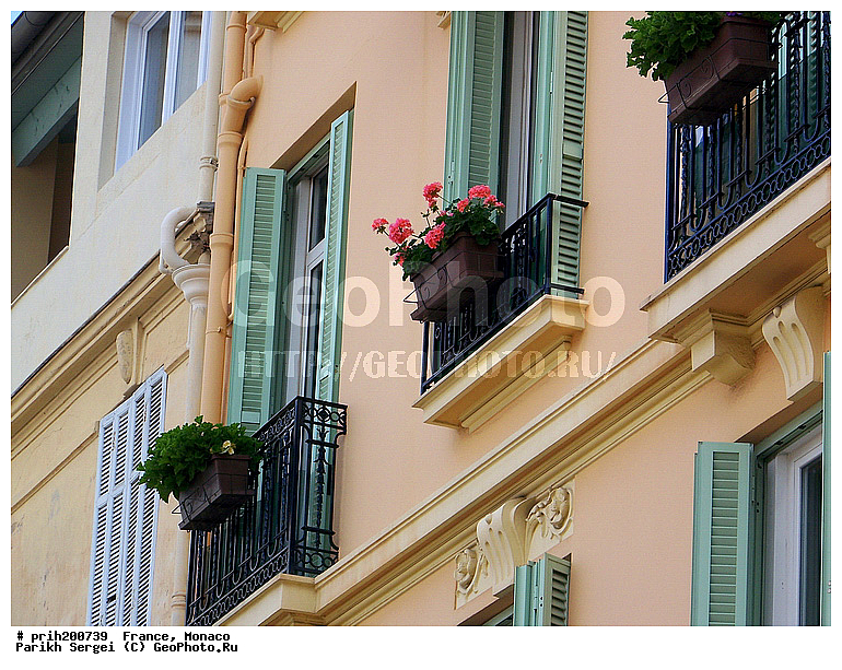 ������, ��������� ������, ������, �������, �����, ���, ������, �����, ������, �����, ������, ������������� �����, �����, ����������� ������, �����