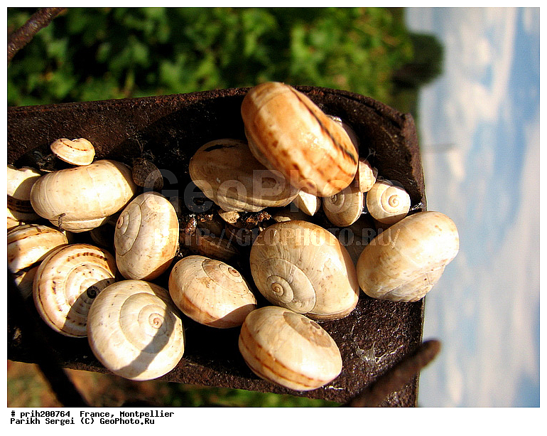 ������, ��������, ��������, �������, �������, �������, ��������, �������, ������, ������������� �����, ������