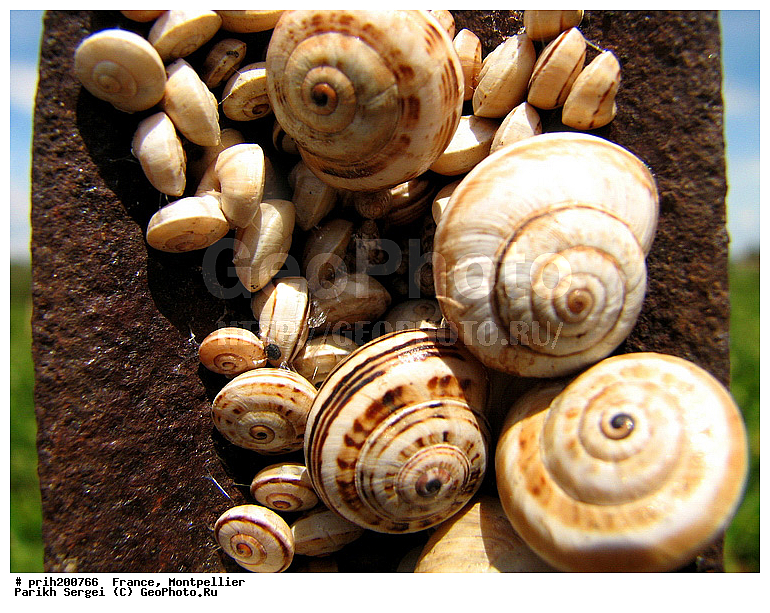 ������, ��������, ��������, �������, �������, �������, ��������, �������, ������, ������������� �����, ������