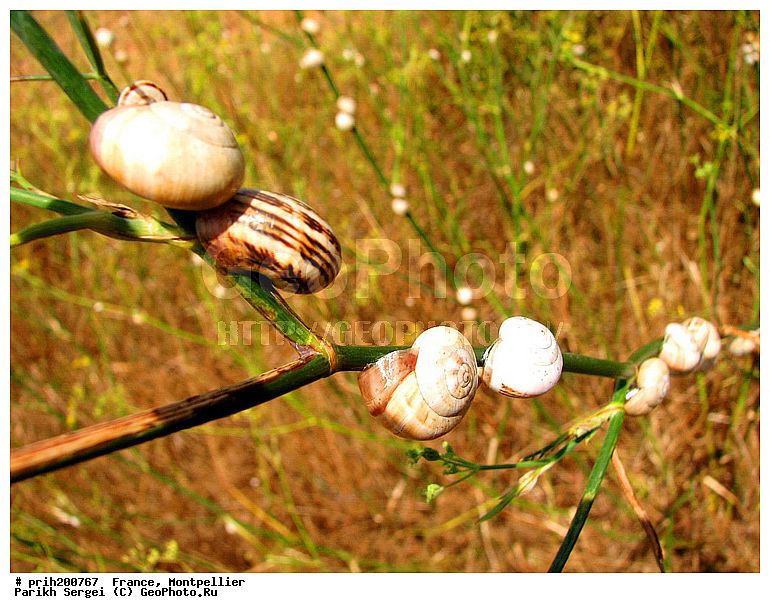 ������, ��������, ��������, �������, ����, �������, �������, ��������, �������, �������, �����, ������, ������������� �����, ������