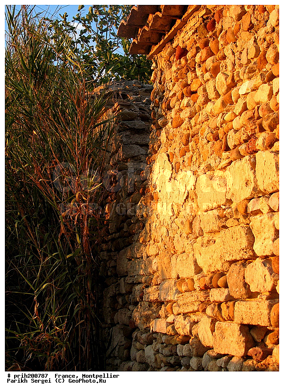 ������, ��������, ��������, �������, �����������, �����, ���, �������� �����, ����, �������, �����, �����, ������, ������������� �����