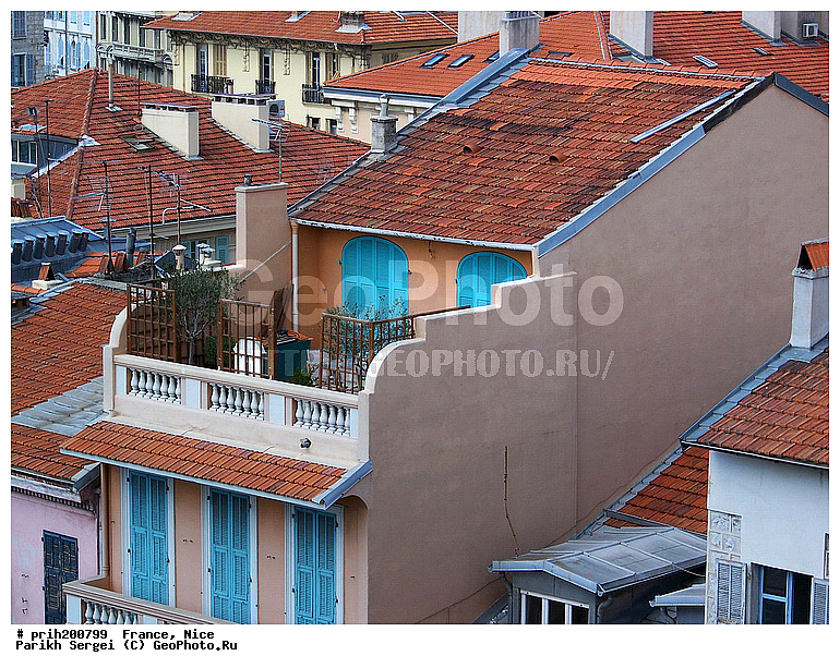 ������, �����, �������, ������, ���, �����, ����, ������, ������, �����, �����, ������, �������, ������, ������������� �����, �����, ��������