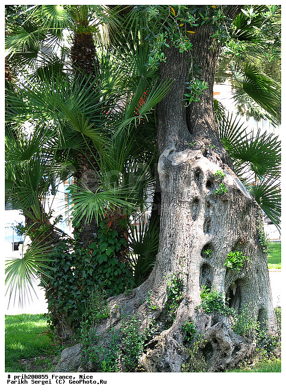 ������, �����, �������, �����, ������, �������, ������, ����, ������, ������, ����, �������, ��������������, �����, ������, ������������� �����, �����