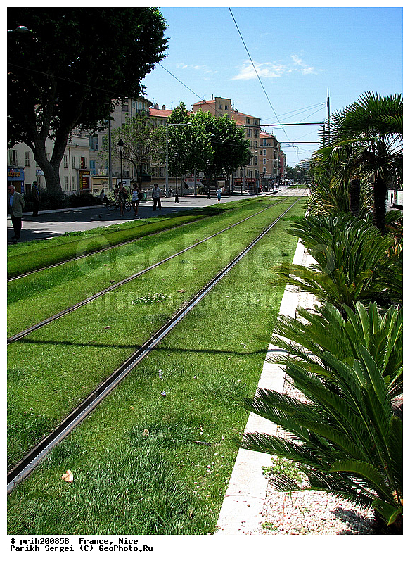 ������, �����, �������, �����, �����, ������, �������, ����, �����������, �������, ��������������, ������, �����, ���������� ����, ������, ������������� �����, �����