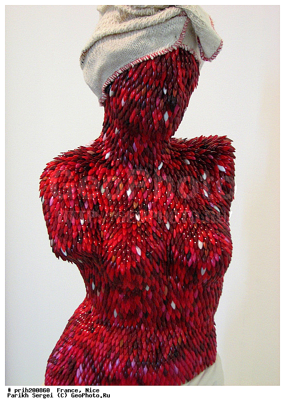 ������, ����� ������������ ���������, �����, �������, ����, ��������, �������, �������, �����������, ���������, ������, ����������, ������, ������, ������������� �����, ������, ��������