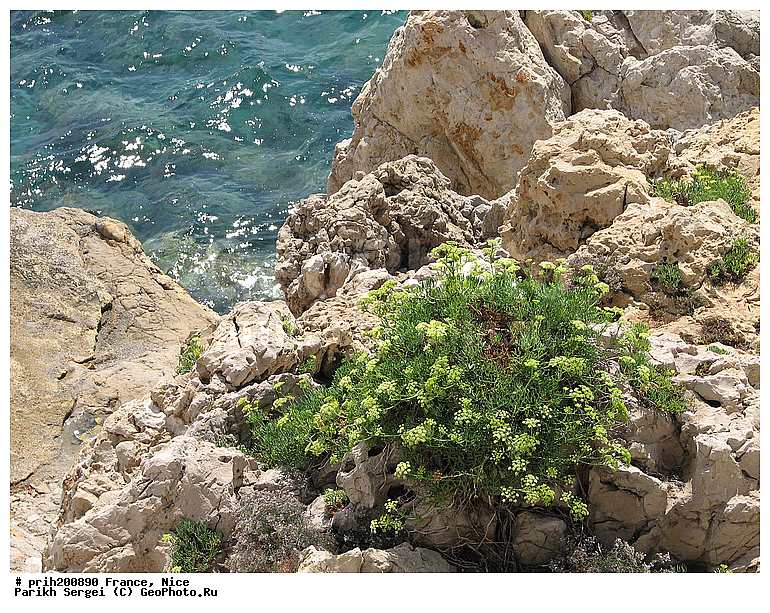 ������, �������� �����, �����, �����������, �������, �����, �����, ���, ����, �����, �����, ������, ������, �����, ����, �����, ������, �������, ��������, ��������������, �����, �����, ������, ������������� �����, ����� 