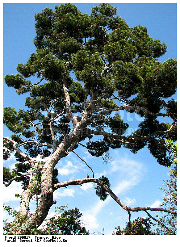 ������, �����, �������, �����, ���, ������, ������, �����, ������, ������, ����, ������, �������, ��������������, ������, ������������� �����