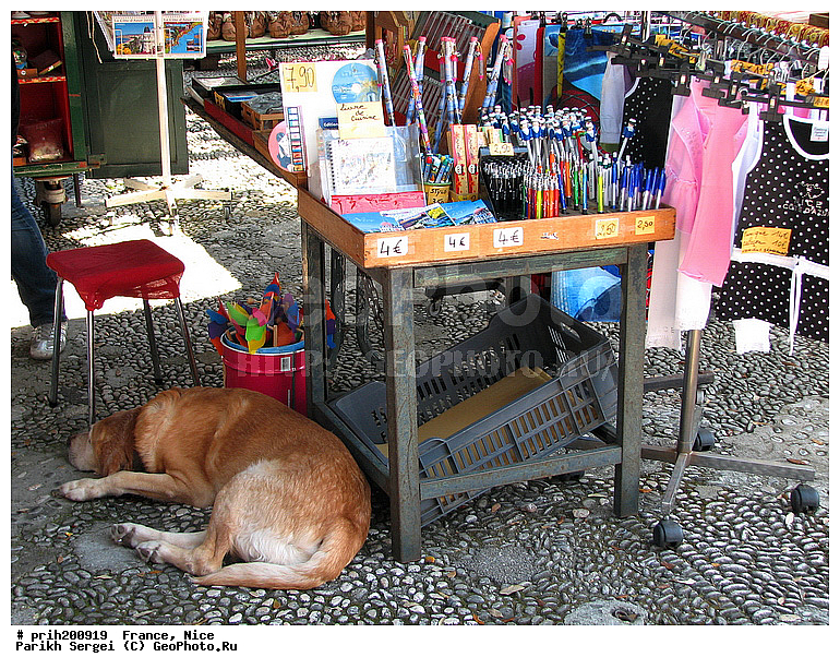 ������, �����, �������, ������, �����, ��������, ��������, �����, ���������, �����, �����, ������, ���, �����, ������, ����, �������, ��������, ������, ������������� �����, �����