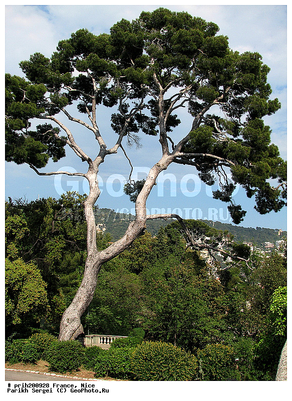 ������, �����, �������, �����, ���, �����, ������, ������, �����, ����, �����, ������, ������, ����, ������, �������, ��������������, ������, ������������� �����