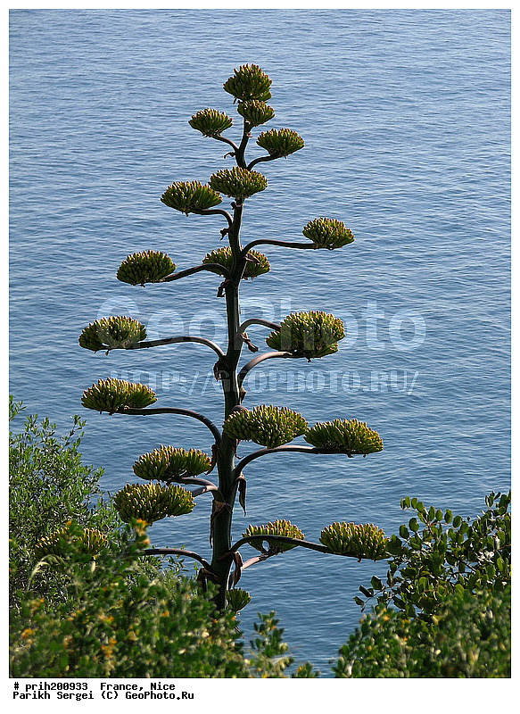 ������, �����, �������, �����, �����, ���, �����, ������, ���, ����, ������, ������, �����, ������, �����������, ��������������, �����, ������, ������������� �����, �����