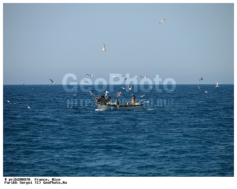 ������, �����, �������, ����, �����, �����, ����, ����, �����, �����, �������, ������, ������������� �����, �����