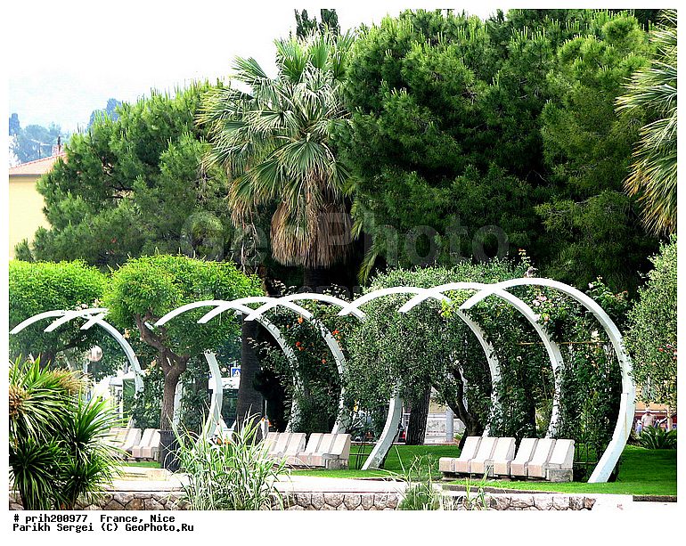 ������, �����, �������, ���, �����, �������, ������, �����, ������, ����, ��������, ��������������, ���, ��������, ��������, ������, ������, ������������� �����, �����