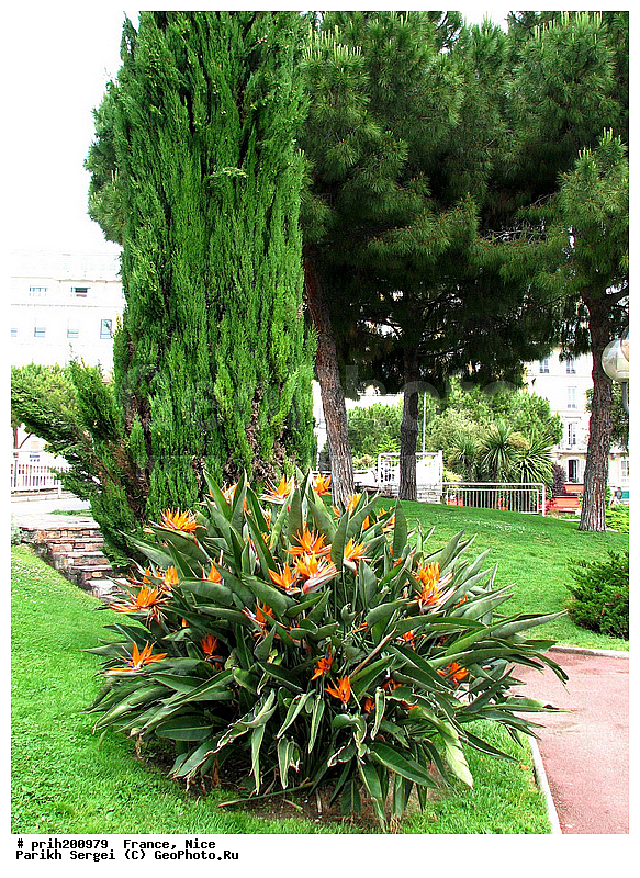 ������, �����, �������, �����, �����, ������, �������, ������, ������, ����, �����, �������, ����, ������, �������, ������� �����, ��������, ��������������, �����, ������, ������������� �����, �����, �����