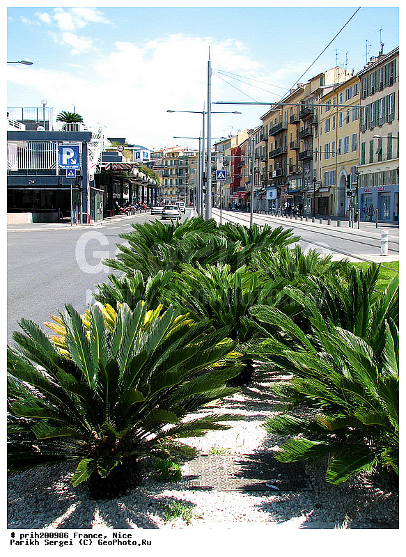 ������, �����, �������, ���, ������, �����, ����, ������, ������, ������, ������, ������, ����, �����, ����������, �����������, ��������, ��������, ��������������, ������, ������������� �����, �����