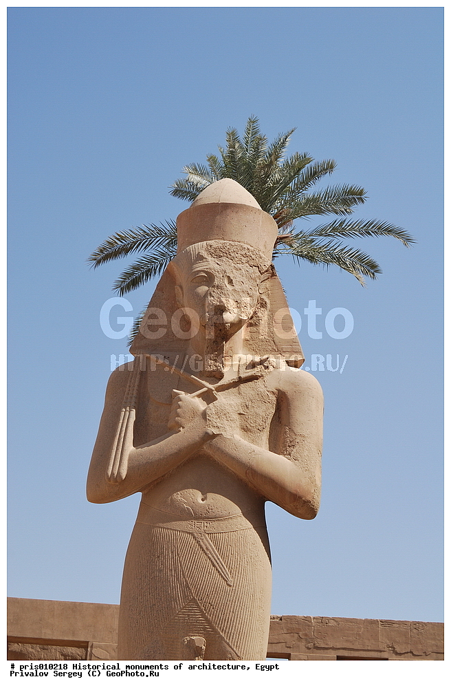  �������� �����������, ������������ �����, �����������,  ������, �������